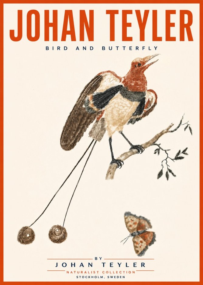 Johan Teyler Bird and Butterfly No5 - Póster