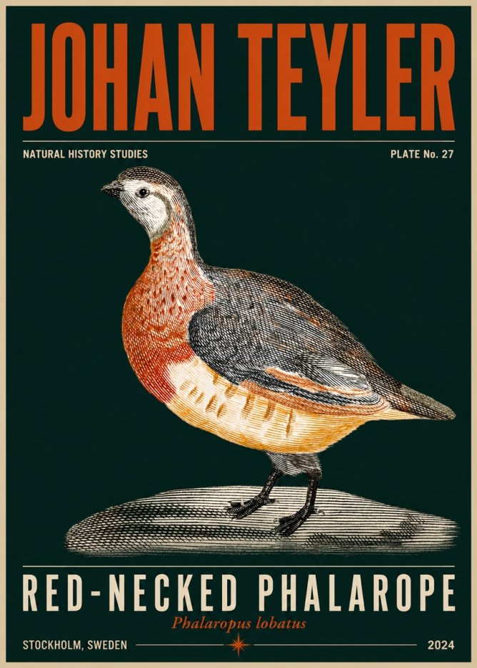 Johan Teyler Red-necked Phalarope No5 - Póster