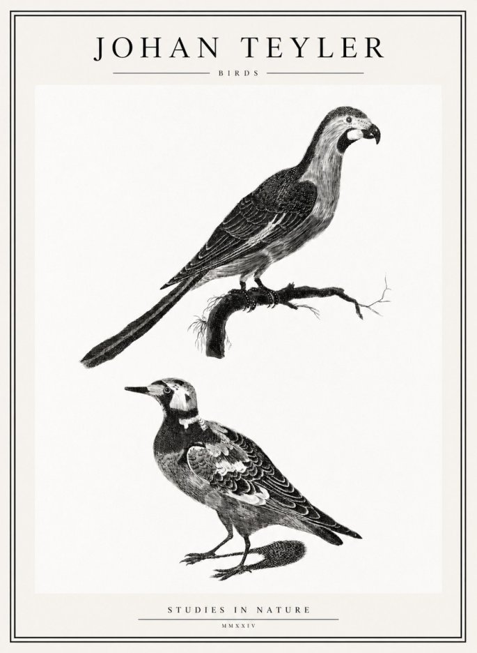 Johan Teyler Birds - Study of Two Species No2 - Póster