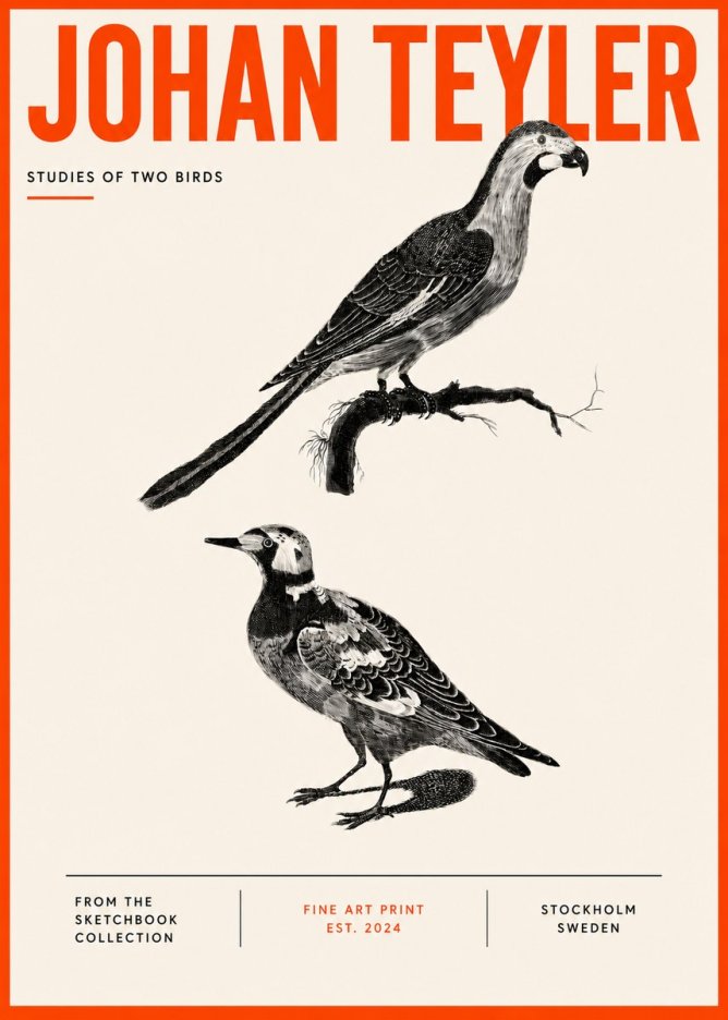 Johan Teyler Birds - Study of Two Species No5 - Póster