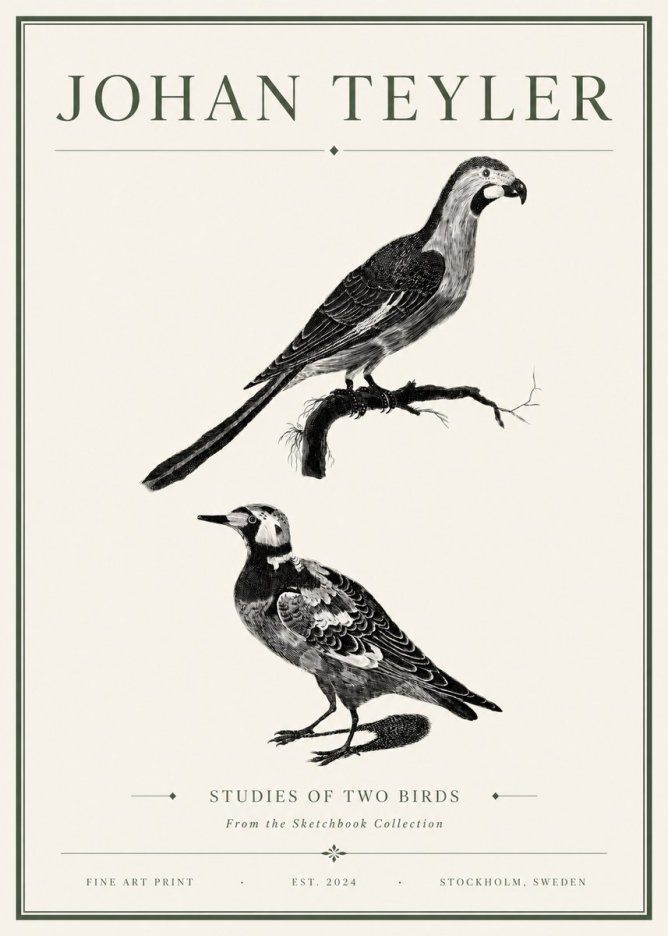 Johan Teyler Birds - Study of Two Species No6 - Póster