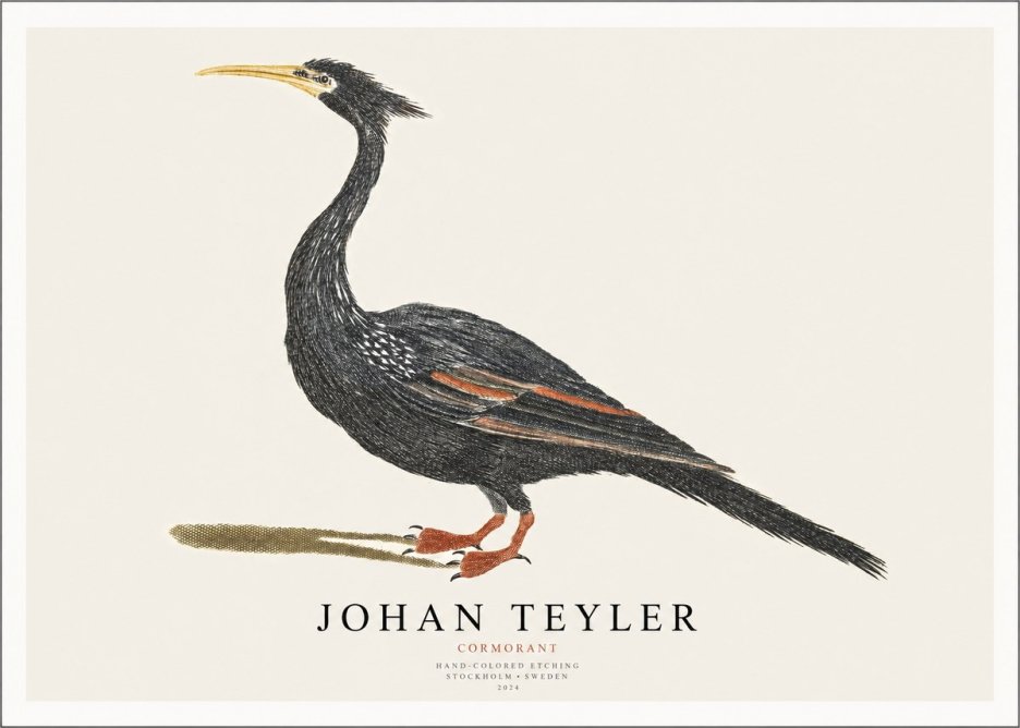 Johan Teyler Cormorant No1 - Póster