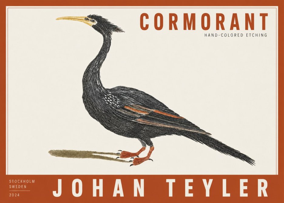 Johan Teyler Cormorant No2 - Póster