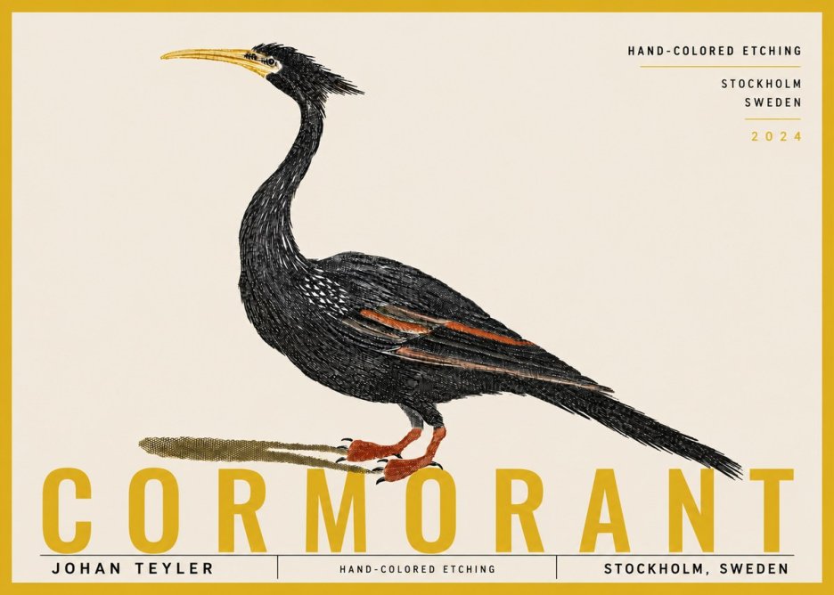 Johan Teyler Cormorant No6 - Póster