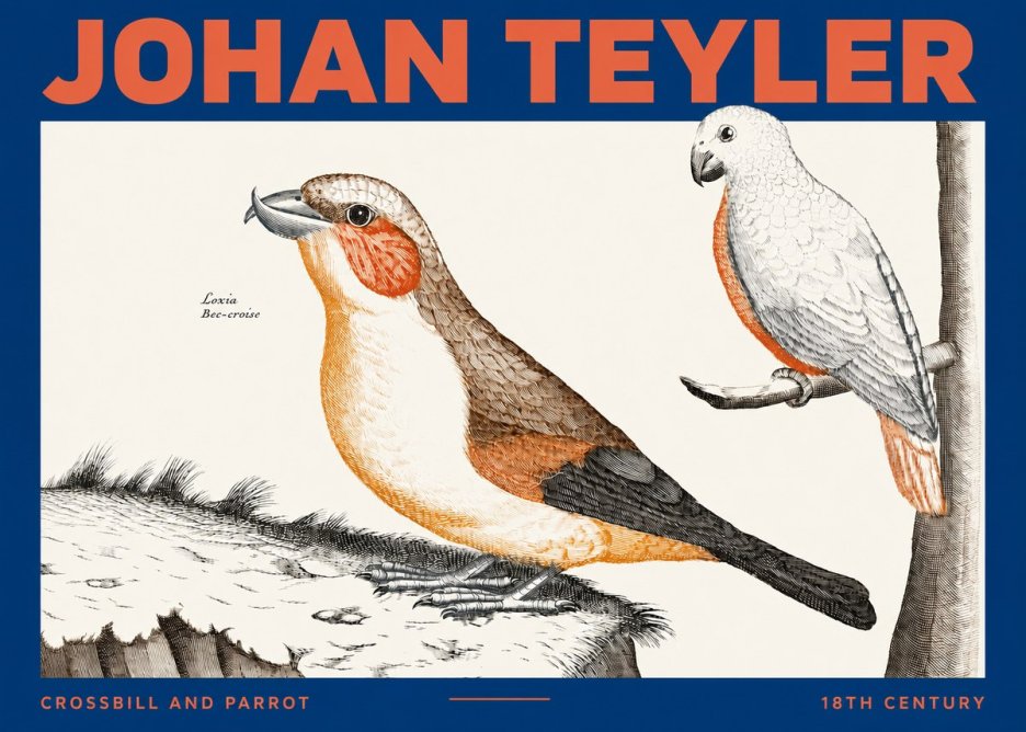 Johan Teyler Crossbill and Parrot No2 - Póster