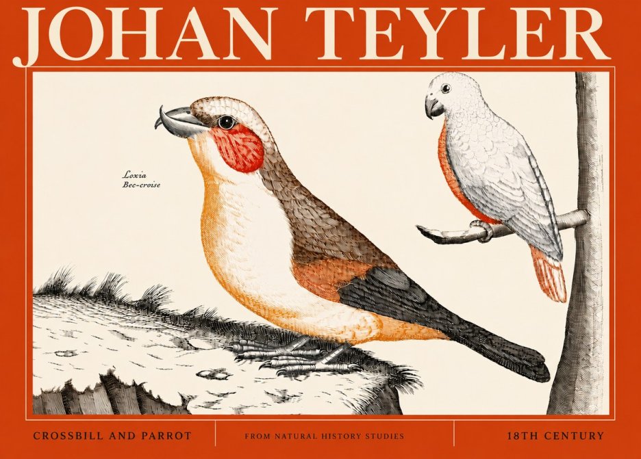 Johan Teyler Crossbill and Parrot No4 - Póster