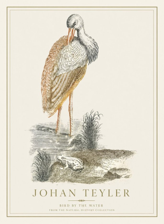 Johan Teyler Bird by the Water No1 - Póster