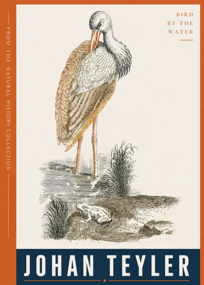 Johan Teyler Bird by the Water No4 - Póster