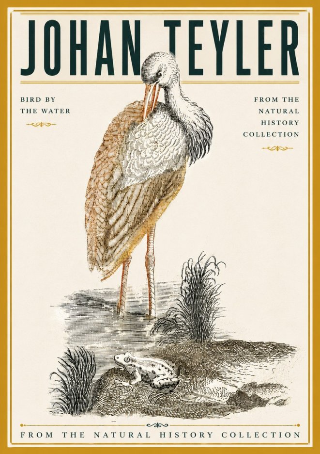 Johan Teyler Bird by the Water No6 - Póster
