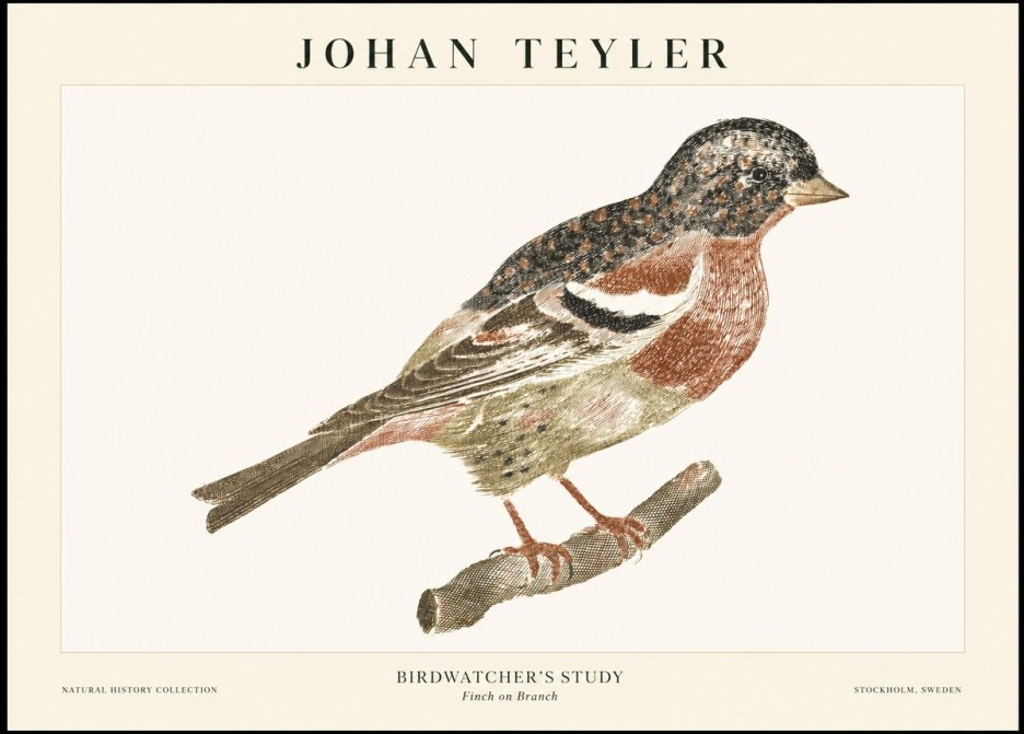Johan Teyler Finch on Branch No1 - Póster