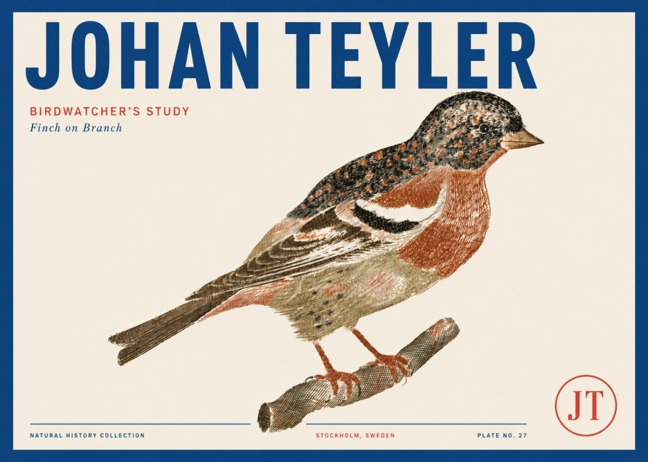 Johan Teyler Finch on Branch No3 - Póster
