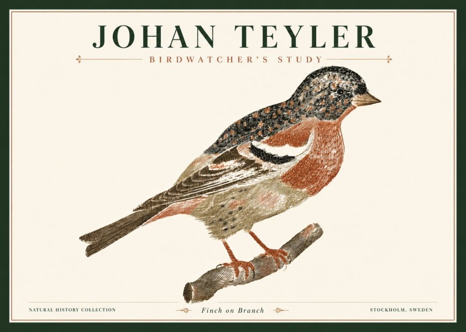Johan Teyler Finch on Branch No4 - Póster