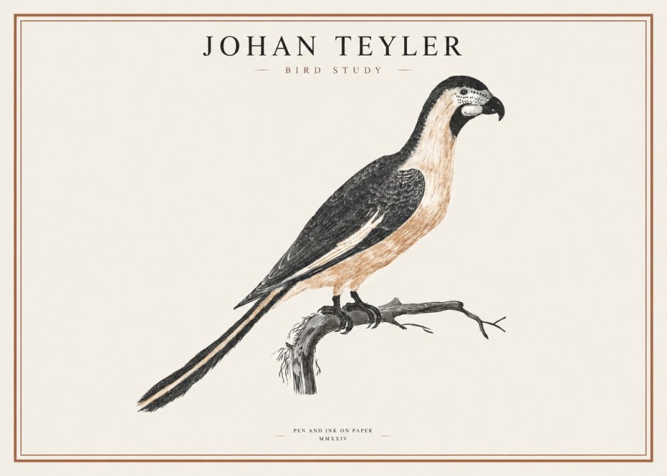 Johan Teyler Bird Study I No1 - Póster