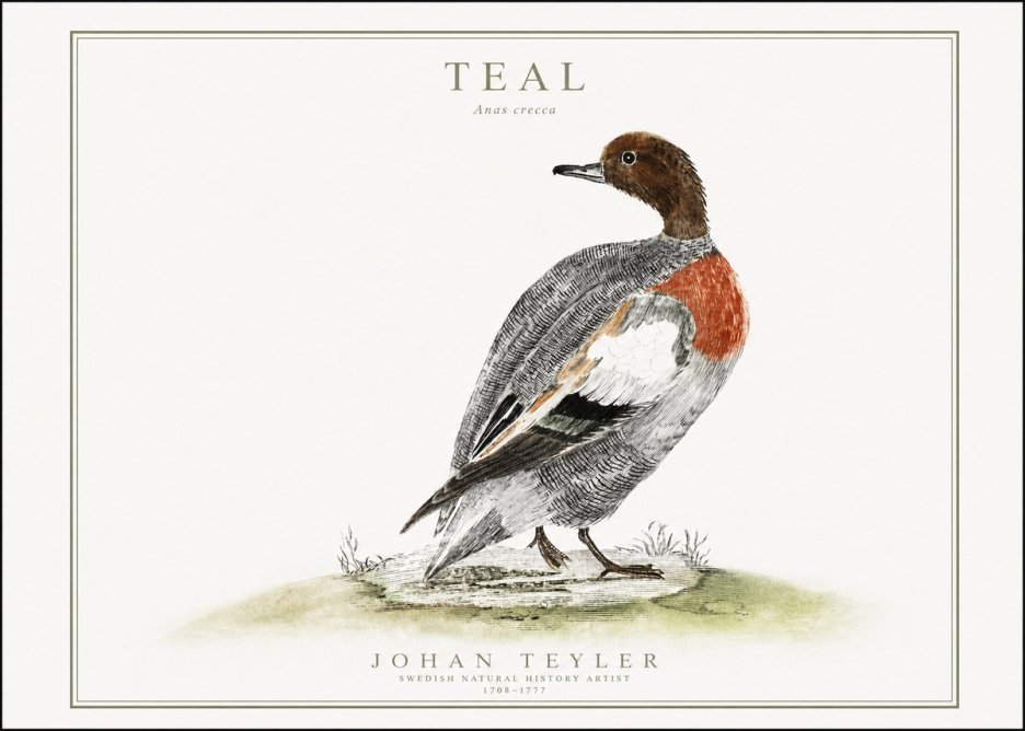 Johan Teyler Teal No1 - Póster