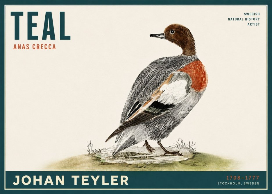 Johan Teyler Teal No2 - Póster