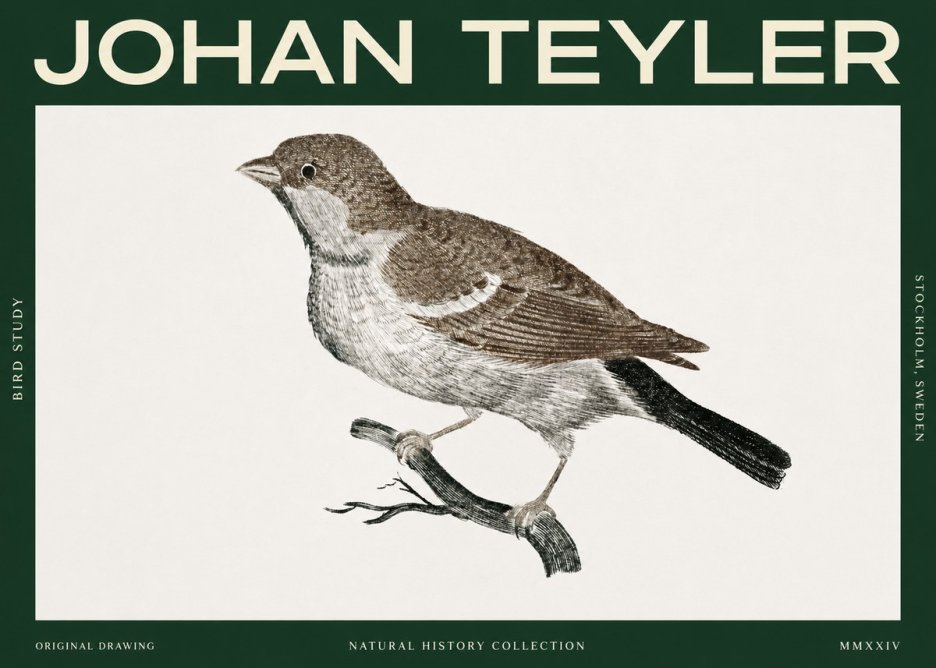 Johan Teyler Bird Study II No2 - Póster