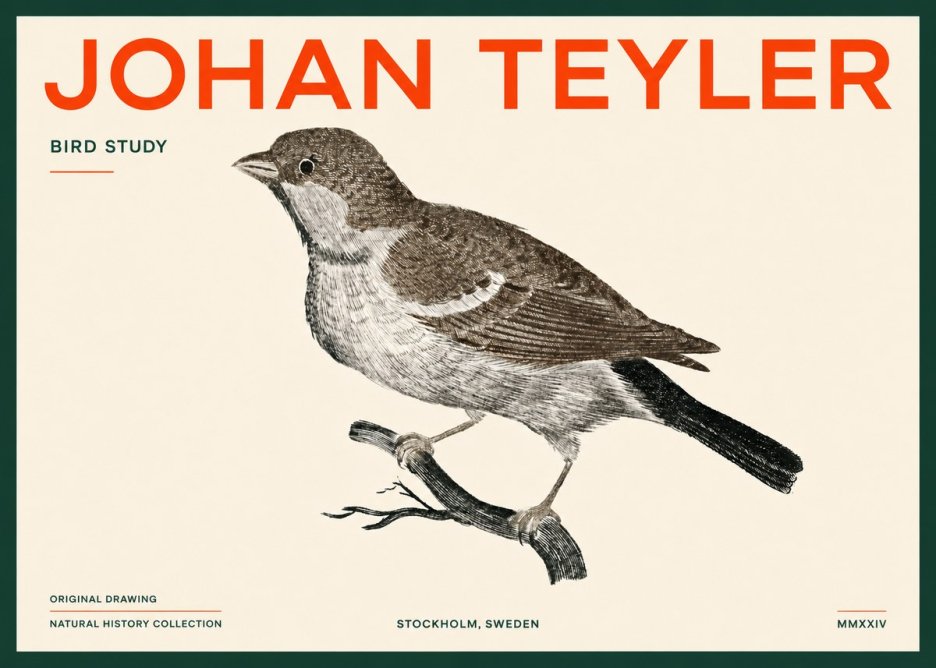 Johan Teyler Bird Study II No5 - Póster