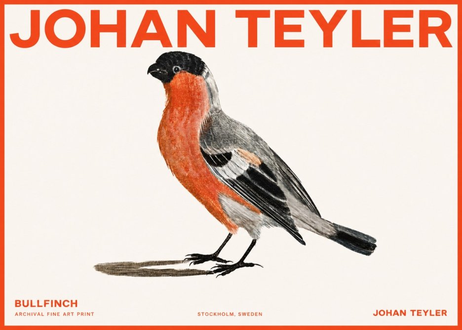 Johan Teyler Bullfinch No2 - Póster
