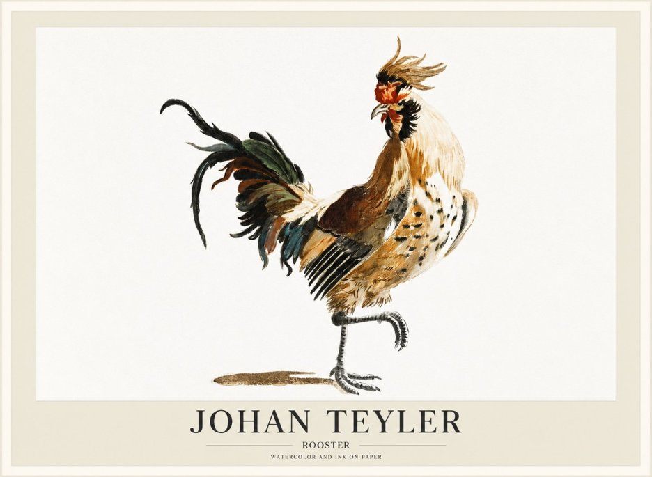 Johan Teyler Rooster No1 - Póster