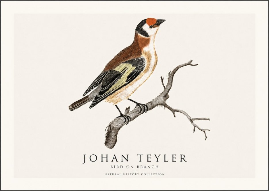 Johan Teyler Song of the Finch No2 - Póster
