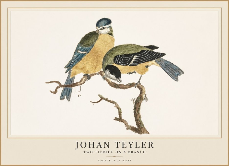 Johan Teyler Two Titmice on a Branch No1 - Póster