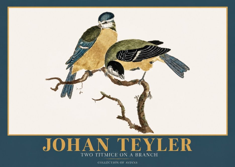 Johan Teyler Two Titmice on a Branch No2 - Póster