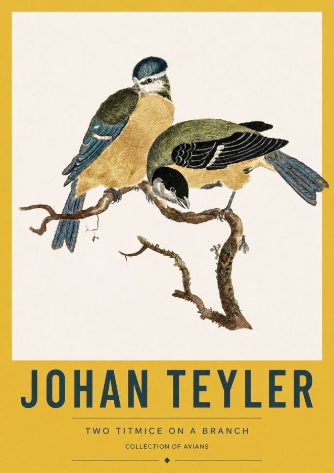 Johan Teyler Two Titmice on a Branch No3 - Póster