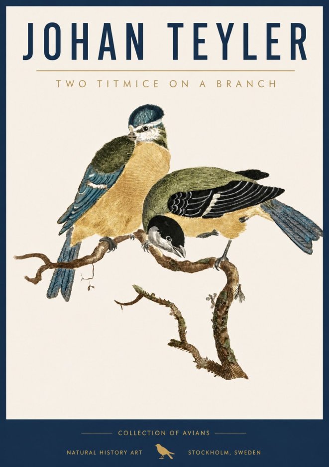 Johan Teyler Two Titmice on a Branch No5 - Póster