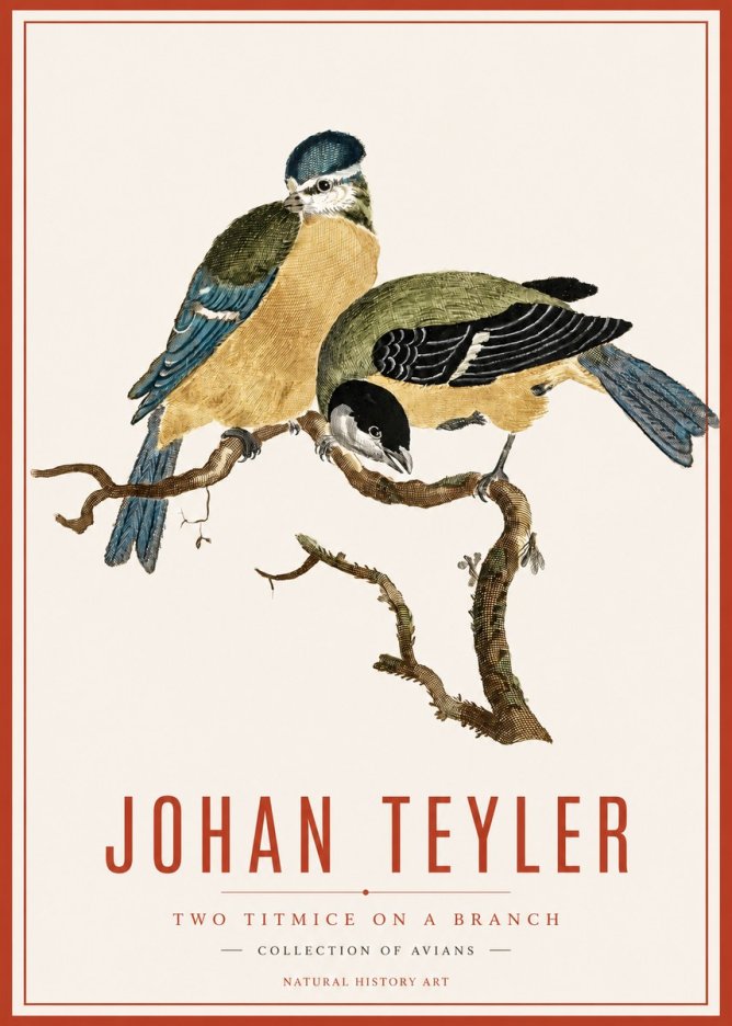 Johan Teyler Two Titmice on a Branch No6 - Póster