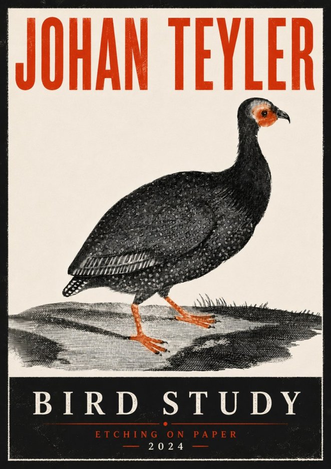 Johan Teyler Bird Study III No6 - Póster