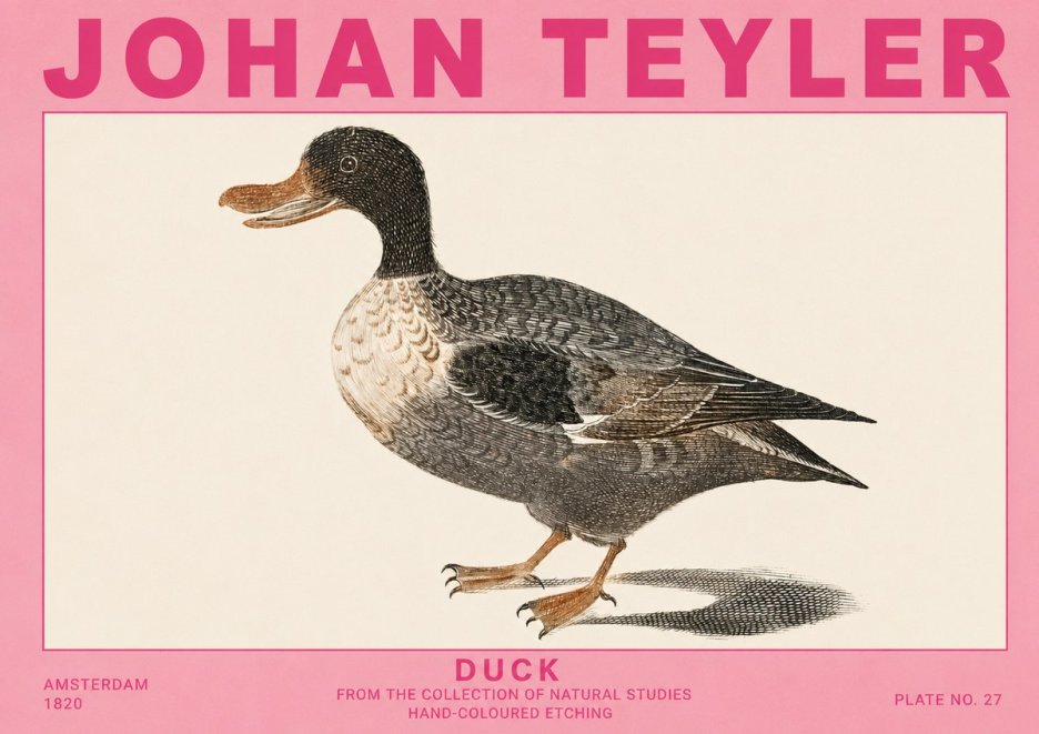 Johan Teyler Duck I No5 - Póster