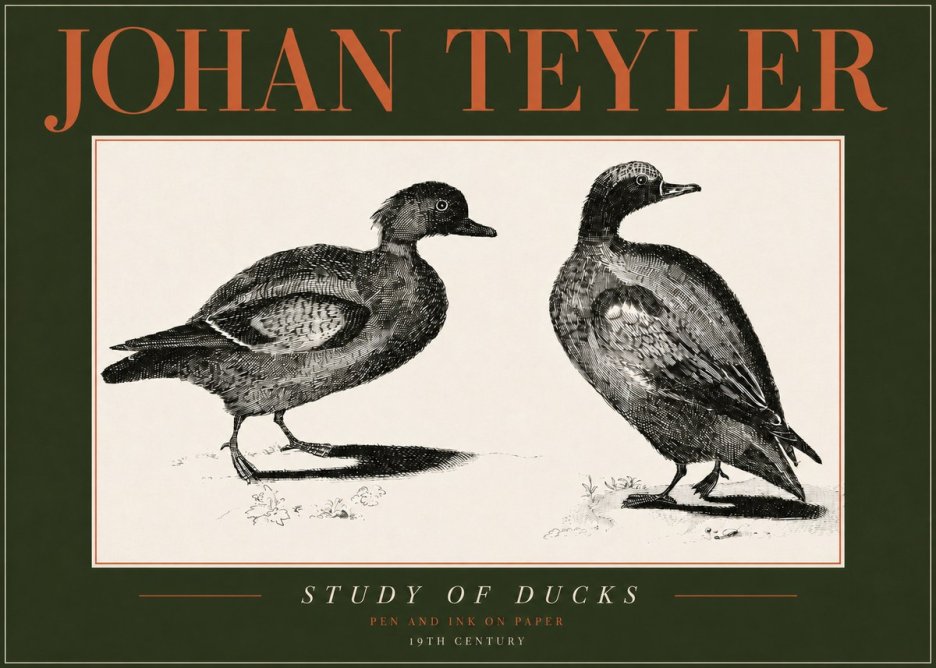 Johan Teyler Study of Ducks No4 - Póster