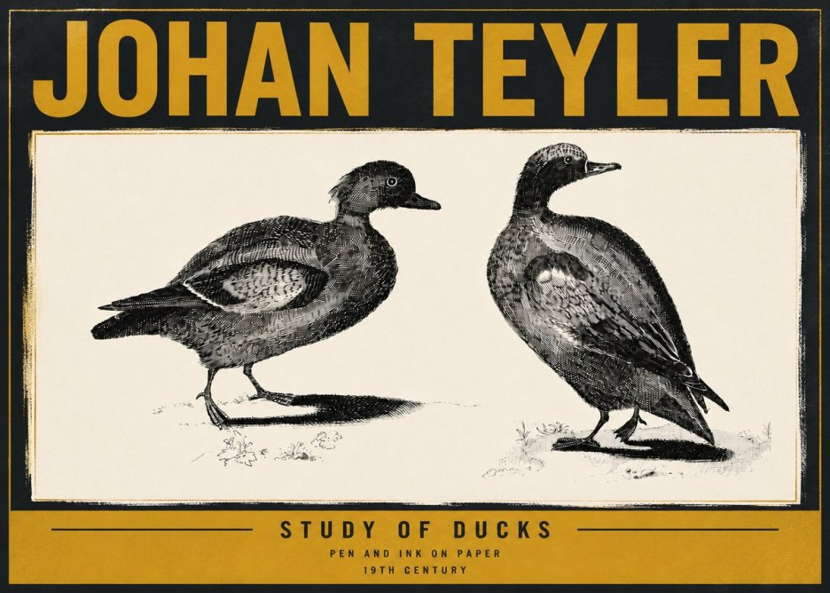 Johan Teyler Study of Ducks No6 - Póster