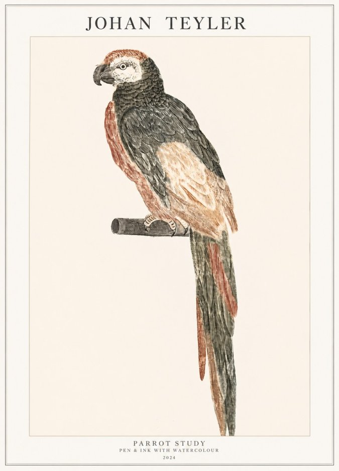 Johan Teyler Parrot Study II No1 - Póster