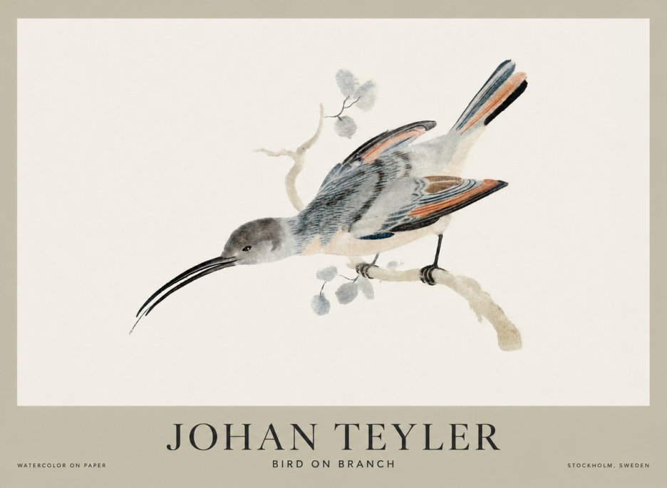 Johan Teyler Bird on Branch I No1 - Póster