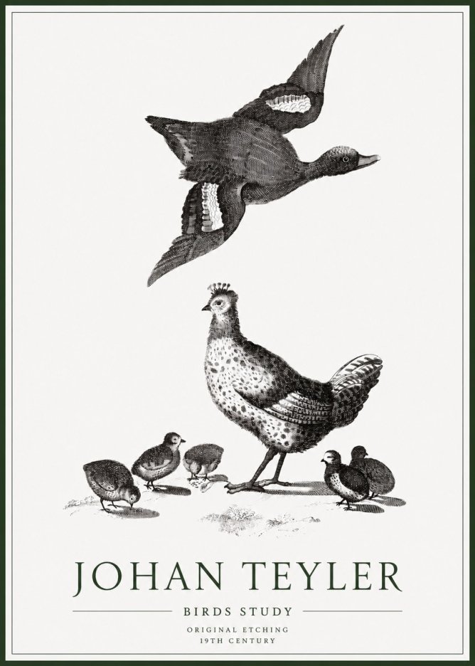 Johan Teyler Birds Study No1 - Póster