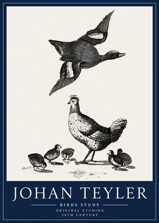 Johan Teyler Birds Study No3 - Póster