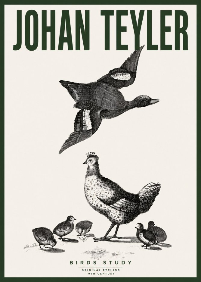 Johan Teyler Birds Study No4 - Póster