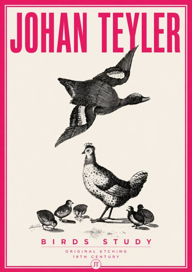 Johan Teyler Birds Study No6 - Póster