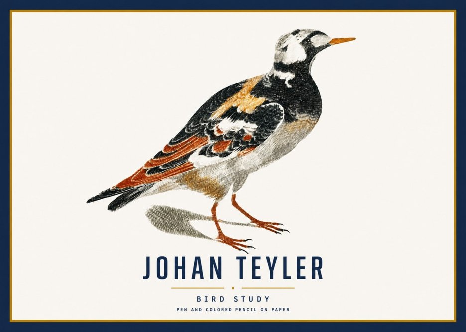 Johan Teyler Bird Study IV No3 - Póster
