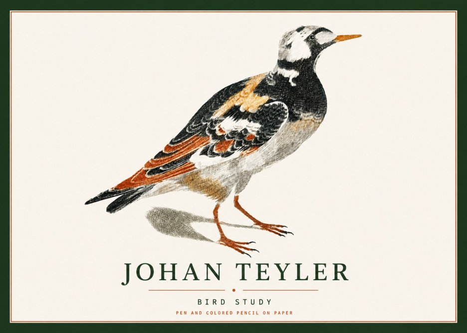 Johan Teyler Bird Study IV No4 - Póster