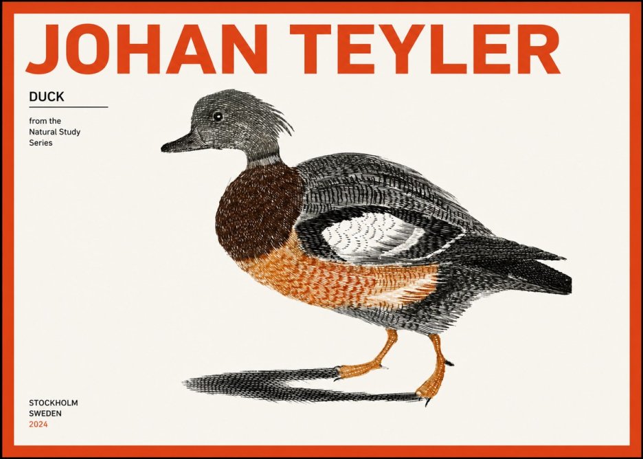 Johan Teyler Duck II No2 - Póster