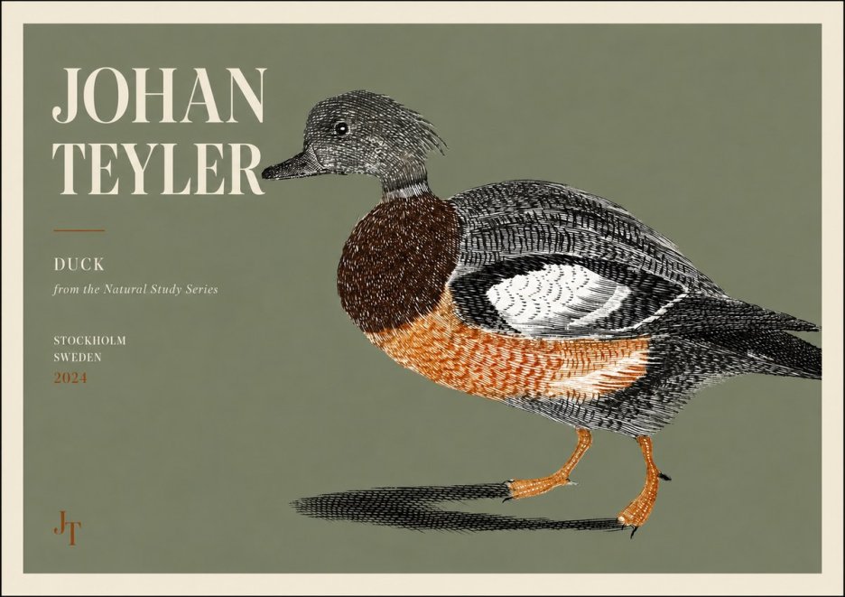 Johan Teyler Duck II No3 - Póster