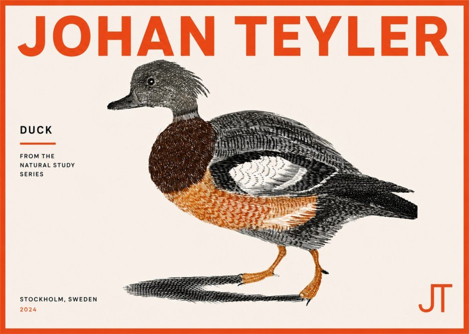 Johan Teyler Duck II No5 - Póster