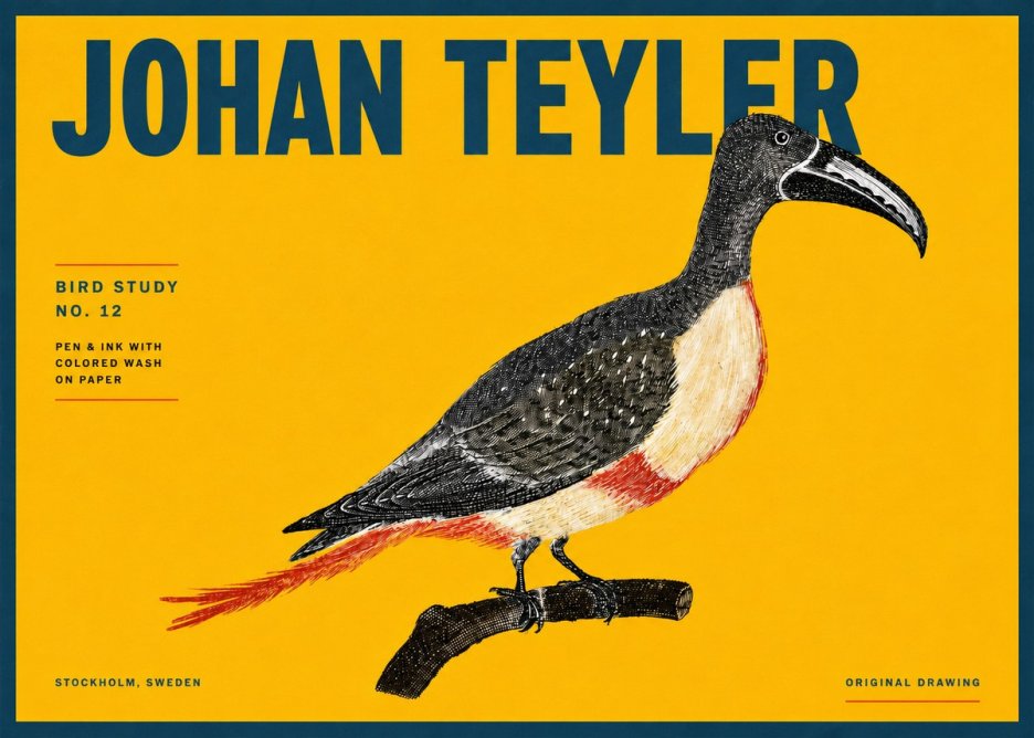 Johan Teyler Bird Study No. 12 - Original Drawing No4 - Póster