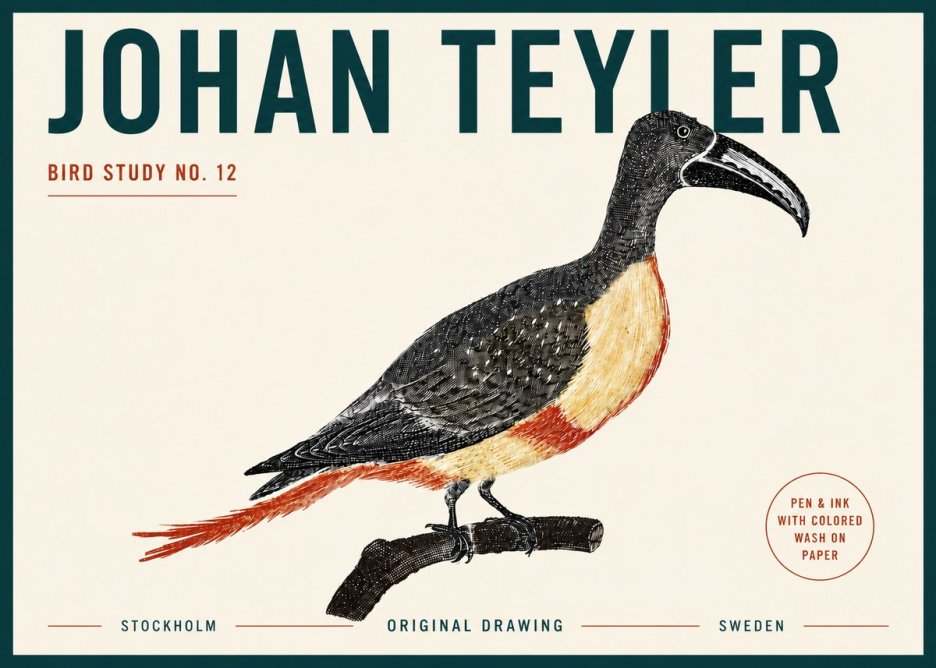 Johan Teyler Bird Study No. 12 - Original Drawing No5 - Póster
