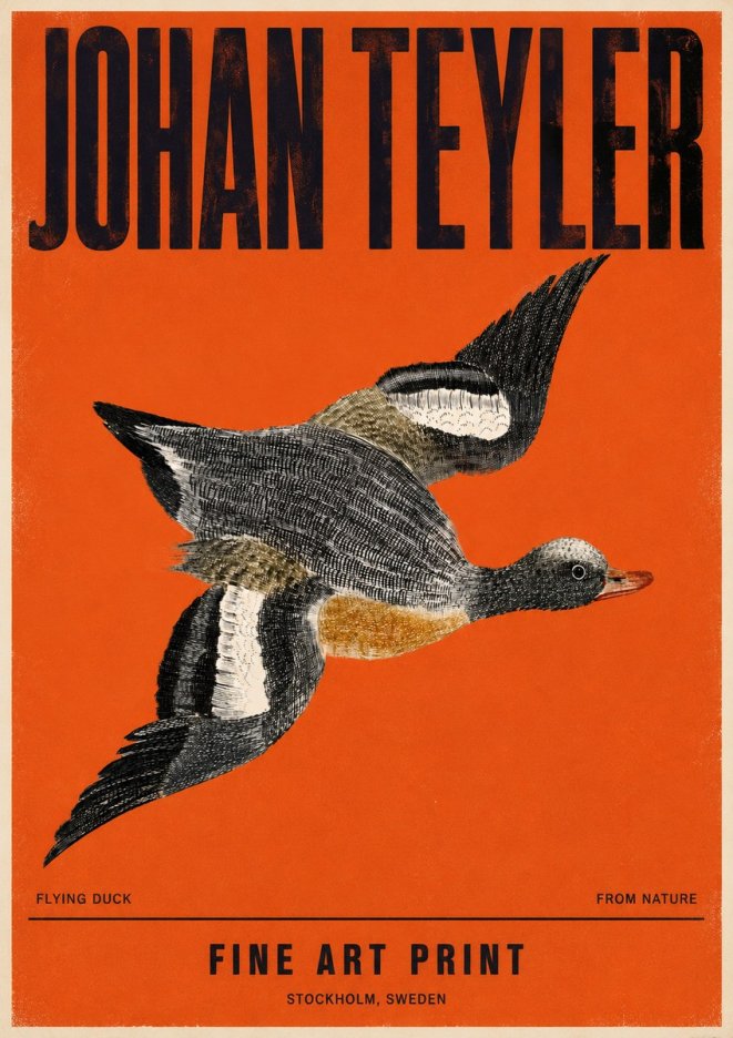 Johan Teyler Flying Duck No4 - Póster