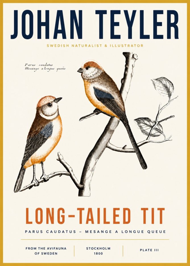 Johan Teyler Long-tailed Tit No3 - Póster
