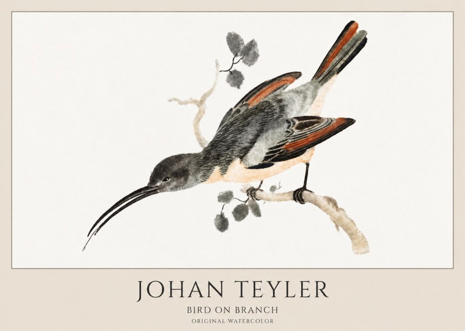 Johan Teyler Bird on Branch II No1 - Póster