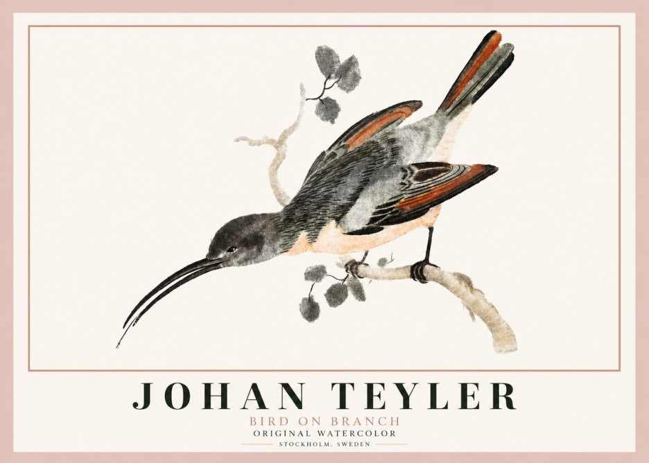 Johan Teyler Bird on Branch II No3 - Póster